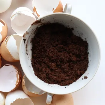 Why You Should Put Eggshells in Coffee: Improved Flavor & Tips