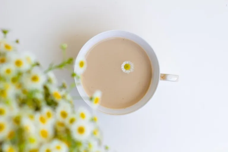Cozy Honey Chamomile Tea Latte Recipe (Easy Steps!)