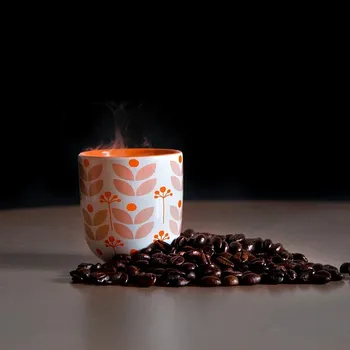What is French Roast Coffee? How to Correctly Brew It