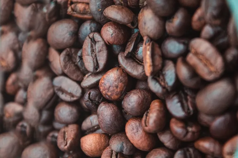 What Are the Four Coffee Waves? Interesting History & Flavor Notes