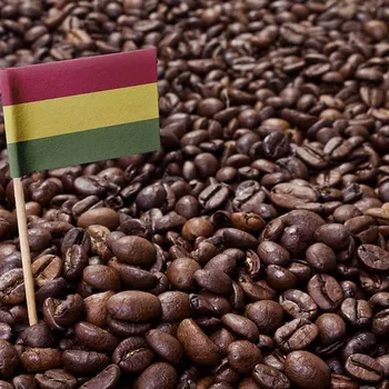 Bolivian Coffee: History, Flavors, & Brewing Tips