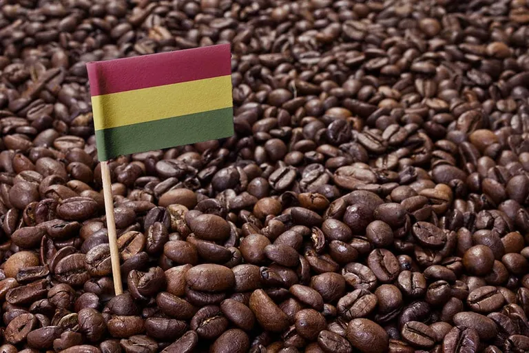 Bolivian Coffee: History, Flavors, & Brewing Tips