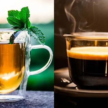 Theine vs Caffeine: The Differences Explained