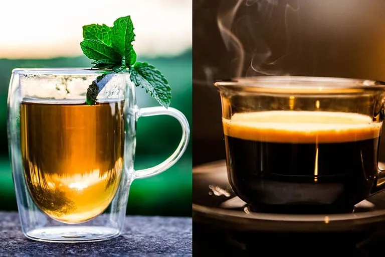 Theine vs Caffeine: The Differences Explained