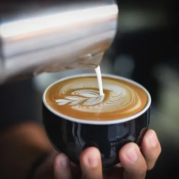 Is Coffee Good for Nausea? What to Know!
