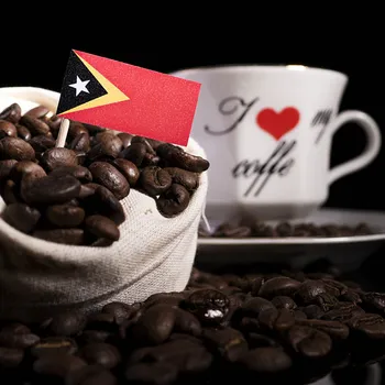 Timor Coffee Culture: History, Flavors & Brewing Tips
