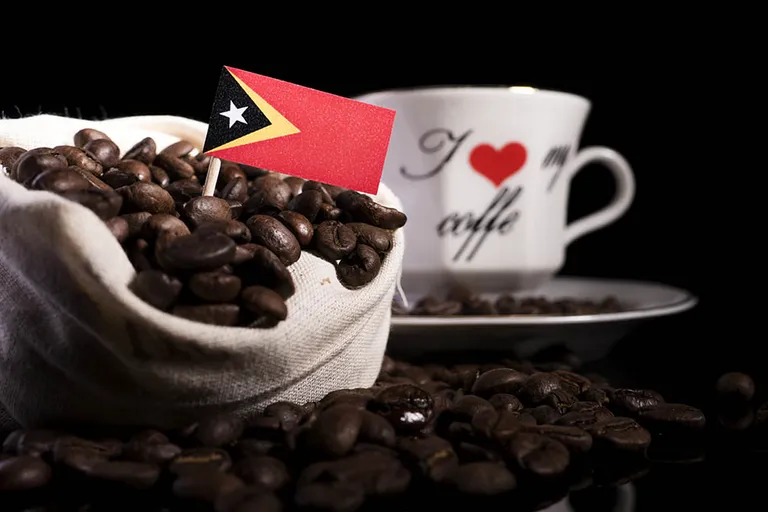 Timor Coffee Culture: History, Flavors & Brewing Tips