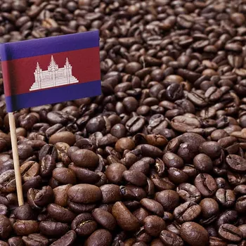 Cambodian Coffee Culture Guide: History, Flavors & Facts