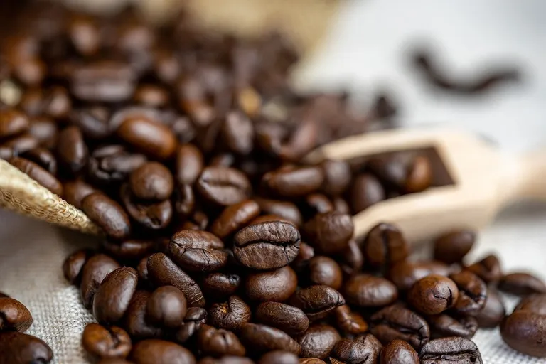 What Is Ethiopian Wush Wush Coffee? Flavor Profile & Brewing Tips