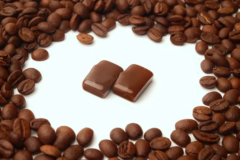 Chewable Coffee Cubes: Worth Trying? Taste, Benefits & Effects