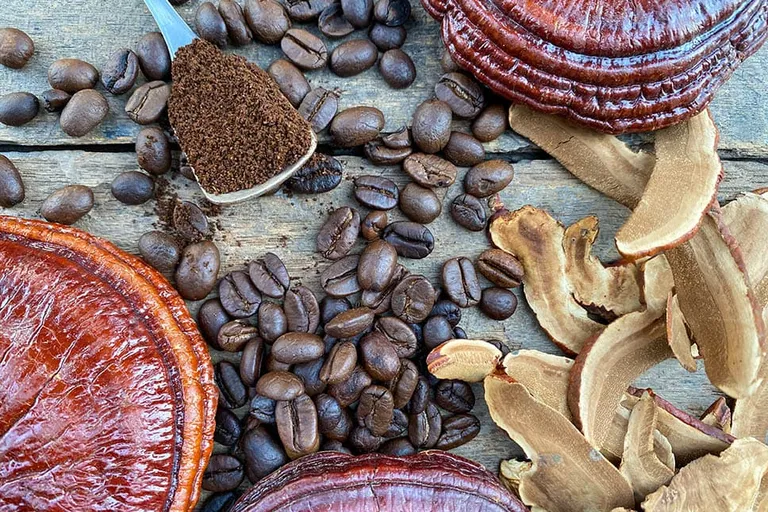 What is Ganoderma Coffee? Flavor, Health Benefits & Overview