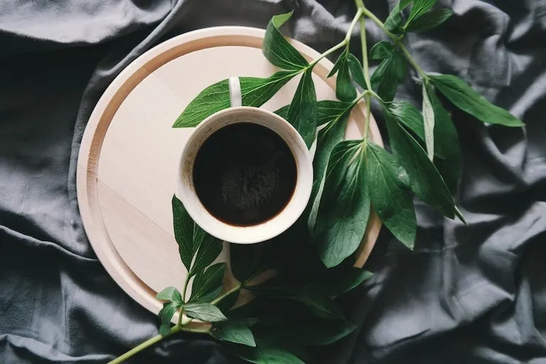 What Is Molokai Coffee? A Delicious Hawaiian Variety