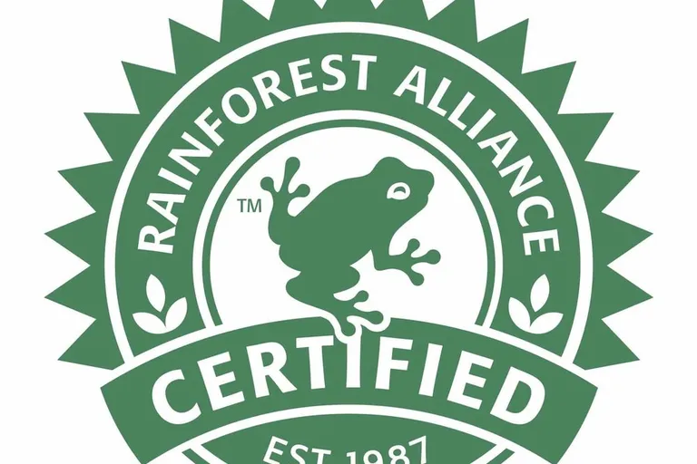 What Is Rainforest Alliance Coffee? Full Guide