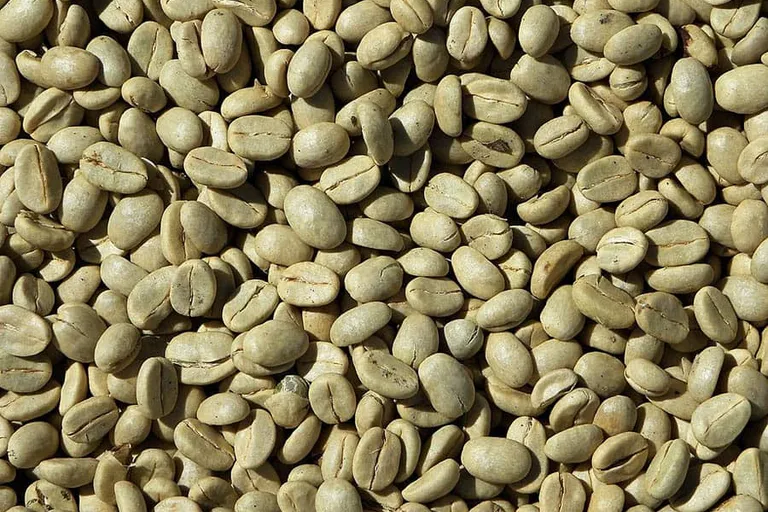 Can You Eat Raw Coffee Beans? Health Concerns & More