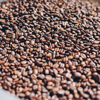 Where Does Starbucks Get Their Coffee Beans? History & Sourcing
