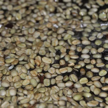 What is Washed Coffee? Comparison With Natural Coffee