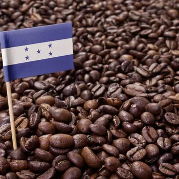 Honduran Coffee & Beans: History, Flavor & Regional Blends