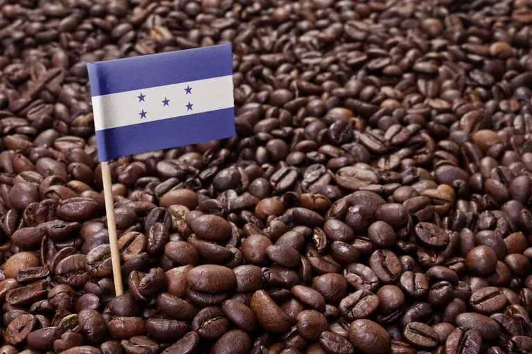 Honduran Coffee & Beans: History, Flavor & Regional Blends