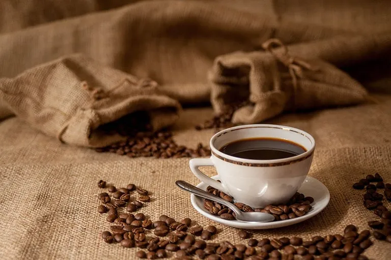 Chanchamayo Peru Coffee: Peruvian Bean History & Tasting Guide