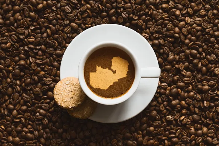 Zambia Coffee: Origin Overview & Tasting Guide