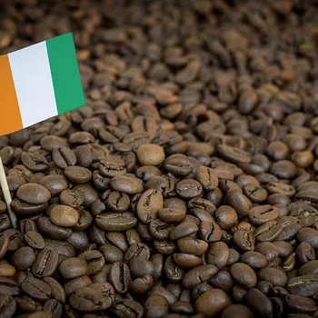 Ivory Coast Coffee: Flavors, Coffee Roasts, History & Brewing Tips