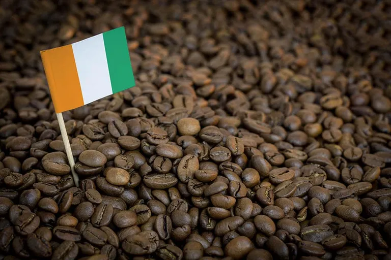 Ivory Coast Coffee: Flavors, Coffee Roasts, History & Brewing Tips