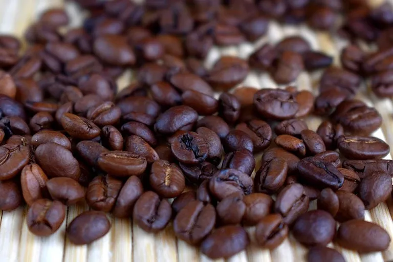 Can You Compost Whole Coffee Beans? Surprising Facts!