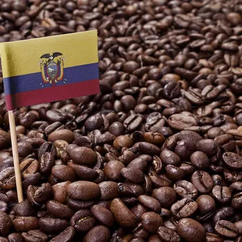 Ecuadorian Coffee Guide: Flavors, History & Brewing Tips
