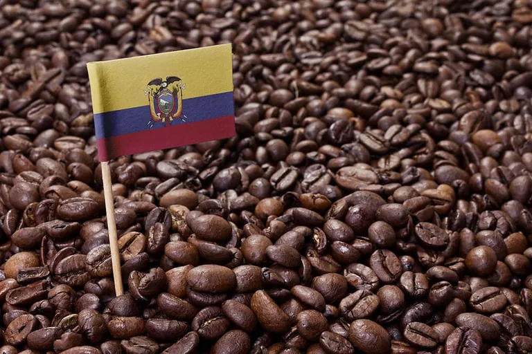 Ecuadorian Coffee Guide: Flavors, History & Brewing Tips