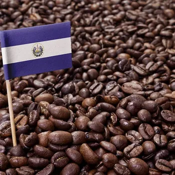 El Salvador Coffee Guide: Flavors, History & Brewing Tips
