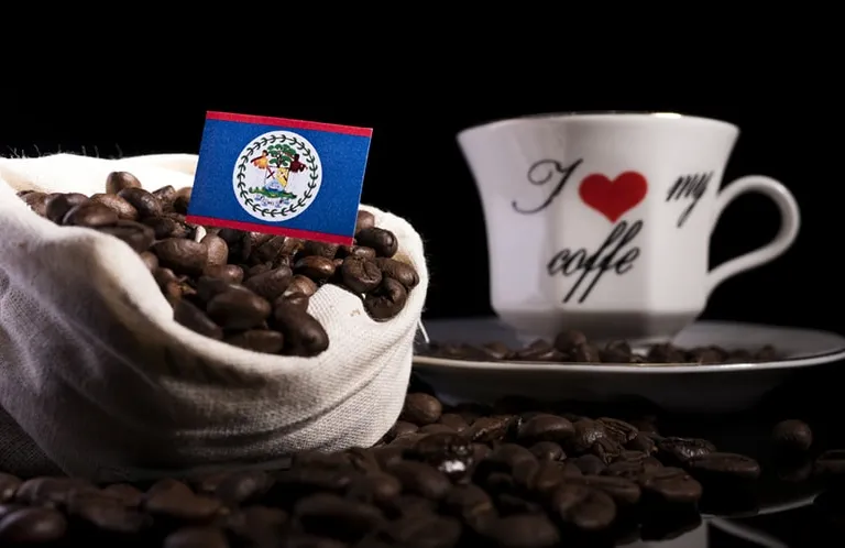 Belize Coffee: History, Flavors & Coffee Culture