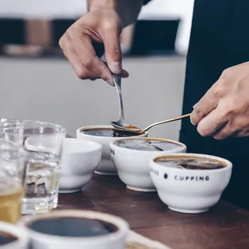 How Is Coffee Graded? Your Guide to Bean Quality