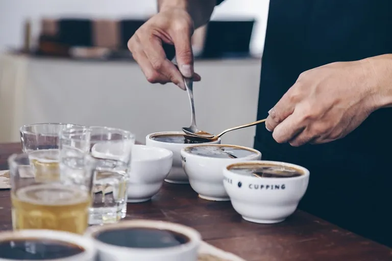 How Is Coffee Graded? Your Guide to Bean Quality