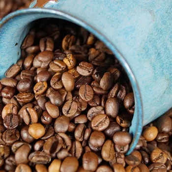 Are Mycotoxins in Coffee Harmful For You? The Truth About These Toxins
