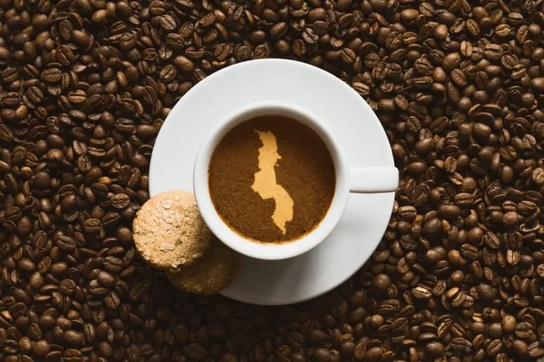 Malawi Coffee: History, Flavors Challenges & Brewing Tips