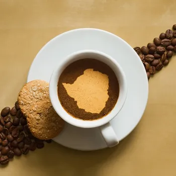 Zimbabwe Coffee: Flavors, History & Brewing Tips