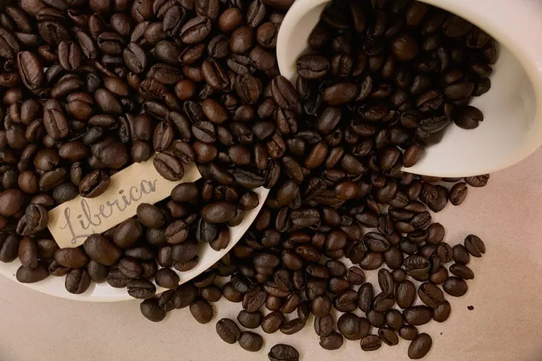Liberian Coffee: History, Flavors & Brewing Tips (With Recipe)