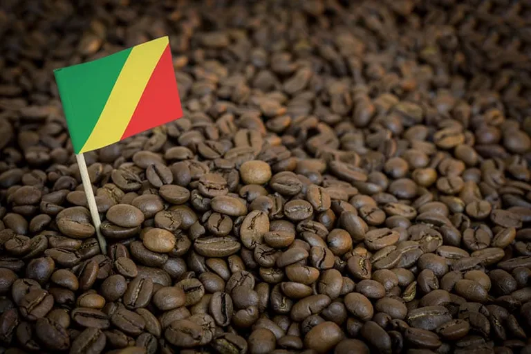 Congo Coffee Guide: Flavors, History & Brewing Tips