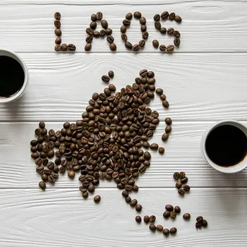 Laos Coffee: Flavors, History, & Brewing Tips