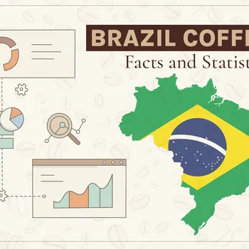 9 Brazil Coffee Production Statistics to Know in 2026