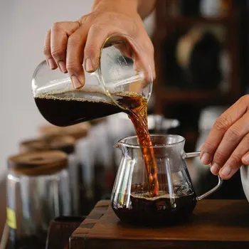 12 Fascinating Caffeine Metabolism Facts to Know in 2026