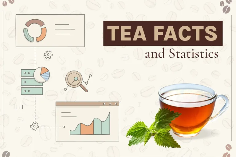 15 Tea Statistics & Facts to Know in 2026 (With Infographic)