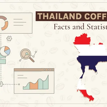 15 Thailand Coffee Consumption Statistics & Facts to Know in 2026