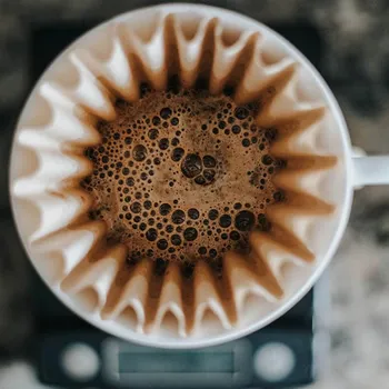 Extraction & Coffee Brewing: Making the Perfect Cup of Coffee