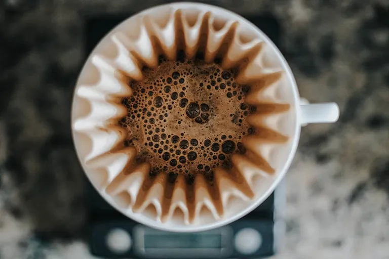 Extraction & Coffee Brewing: Making the Perfect Cup of Coffee