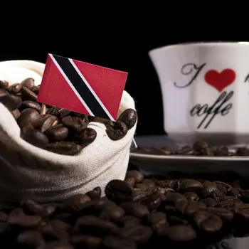 Trinidad Coffee Guide: History, Flavors & Brewing Tips