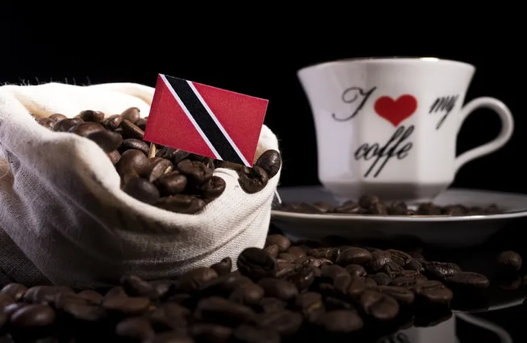 Trinidad Coffee Guide: History, Flavors & Brewing Tips