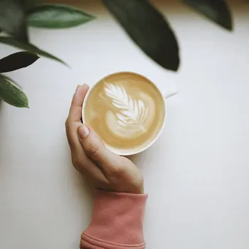 What Affects Caffeine Absorption? Health Facts to Know!