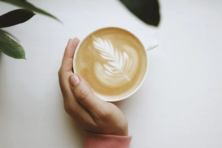 What Affects Caffeine Absorption? Health Facts to Know!