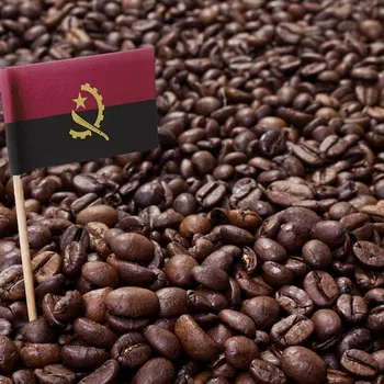 Angola Coffee Guide: History, Flavors & Brewing Tips